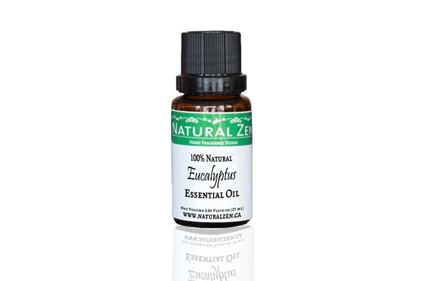 Eucalyptus Essential Oil